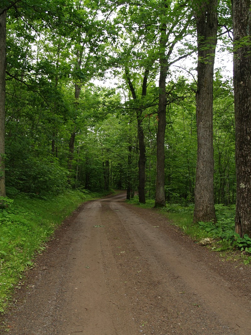 ATV_Trail.JPG