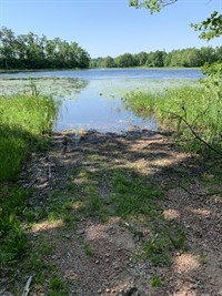 Skinaway_Lake_Public_Landing.jpg