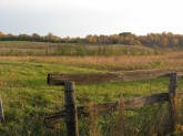 Turtle Lake Fall