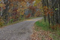 Cattail Trail