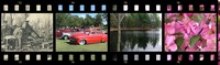 film_strip_for_web.jpg